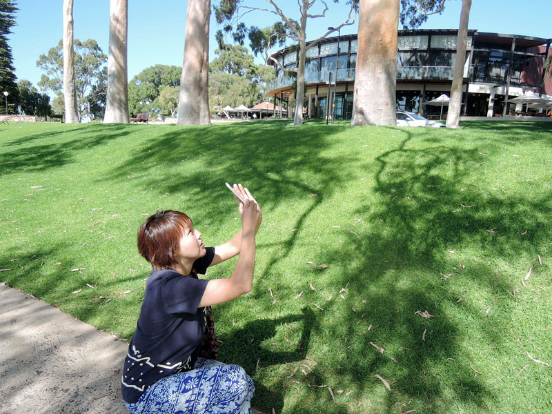 Akichan at Kings Park.